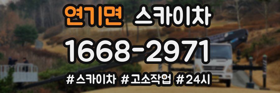 연기면 스카이차