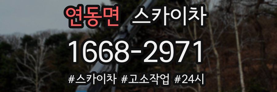 연동면 스카이차