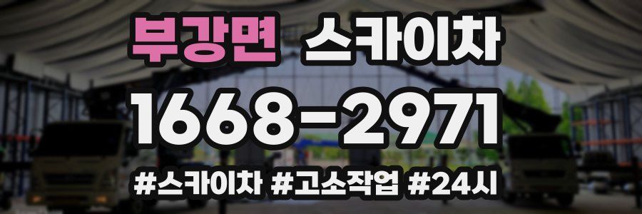 부강면 스카이차