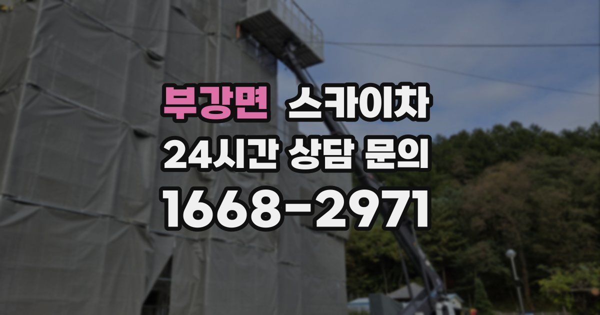 부강면 스카이차