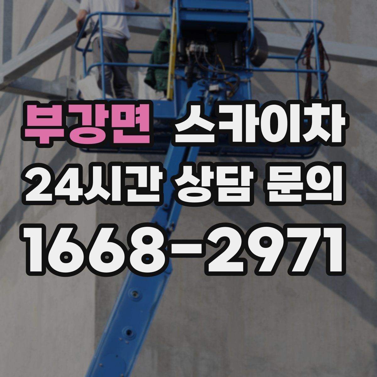 부강면 스카이차