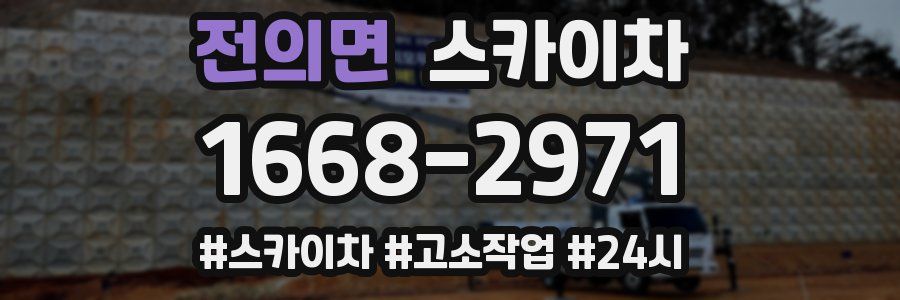 전의면 스카이차