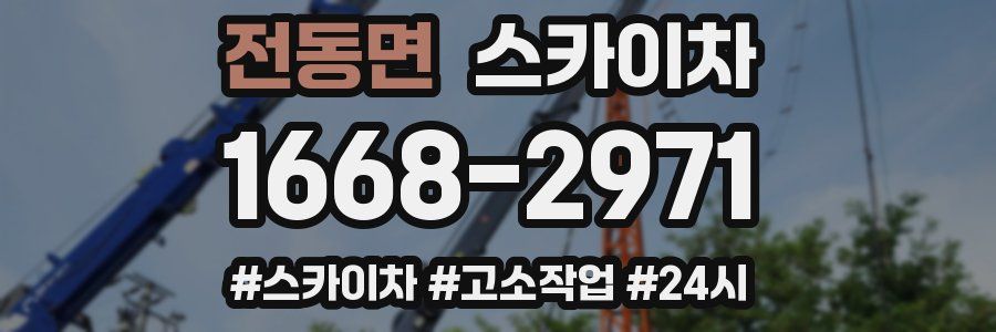 전동면 스카이차