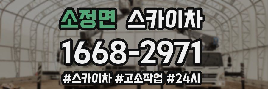 소정면 스카이차