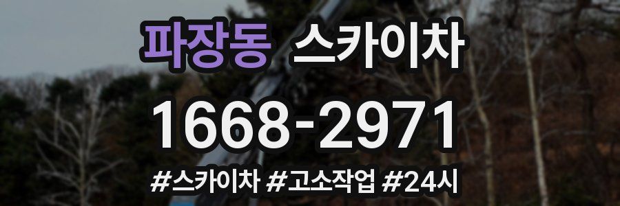 파장동 스카이차