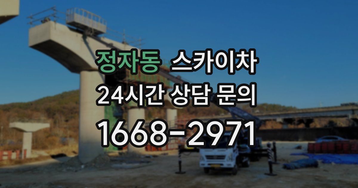 정자동 스카이차