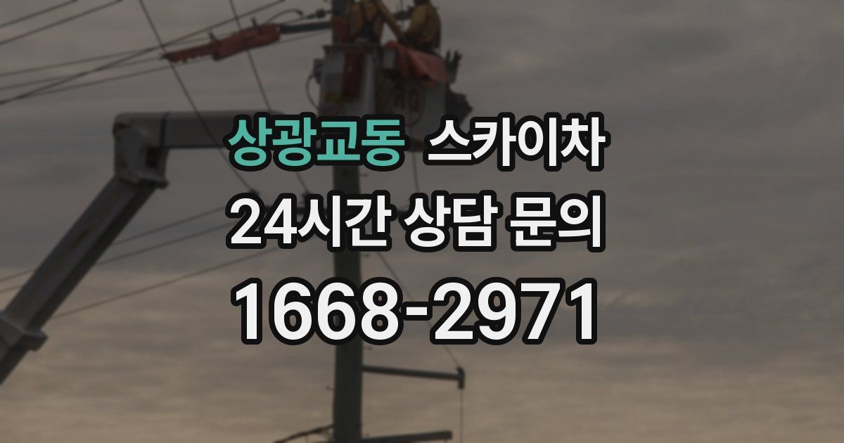 상광교동 스카이차
