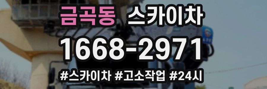 금곡동 스카이차