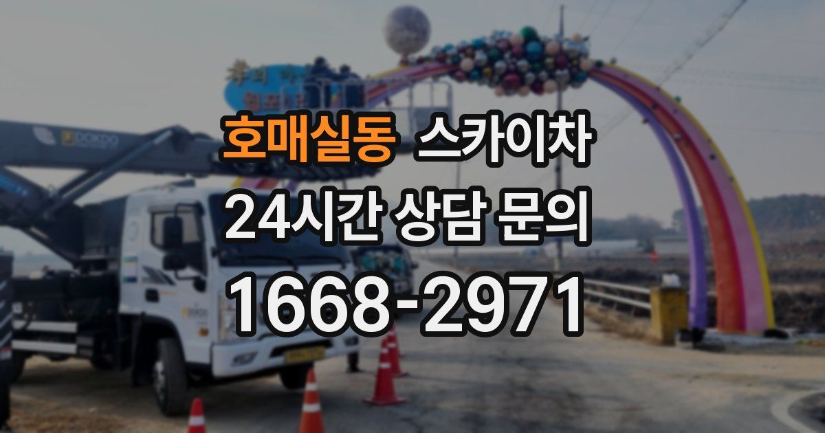 호매실동 스카이차