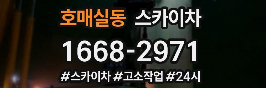 호매실동 스카이차