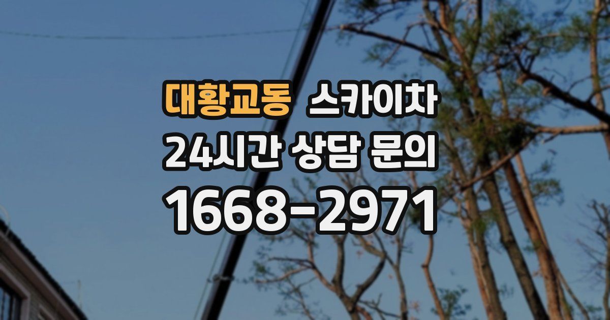 대황교동 스카이차