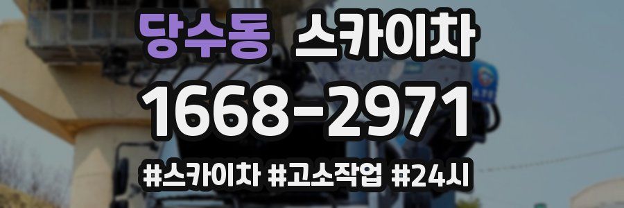 당수동 스카이차