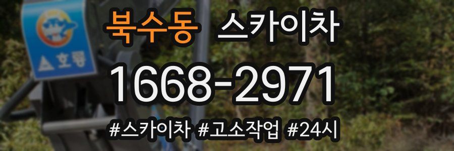 북수동 스카이차