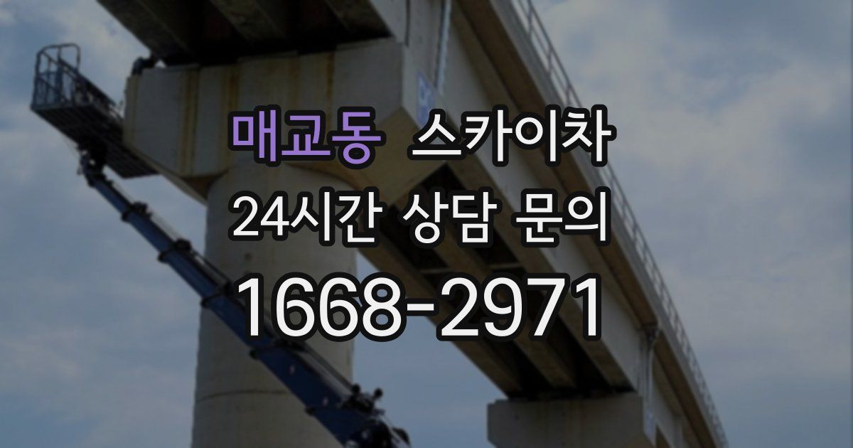 매교동 스카이차