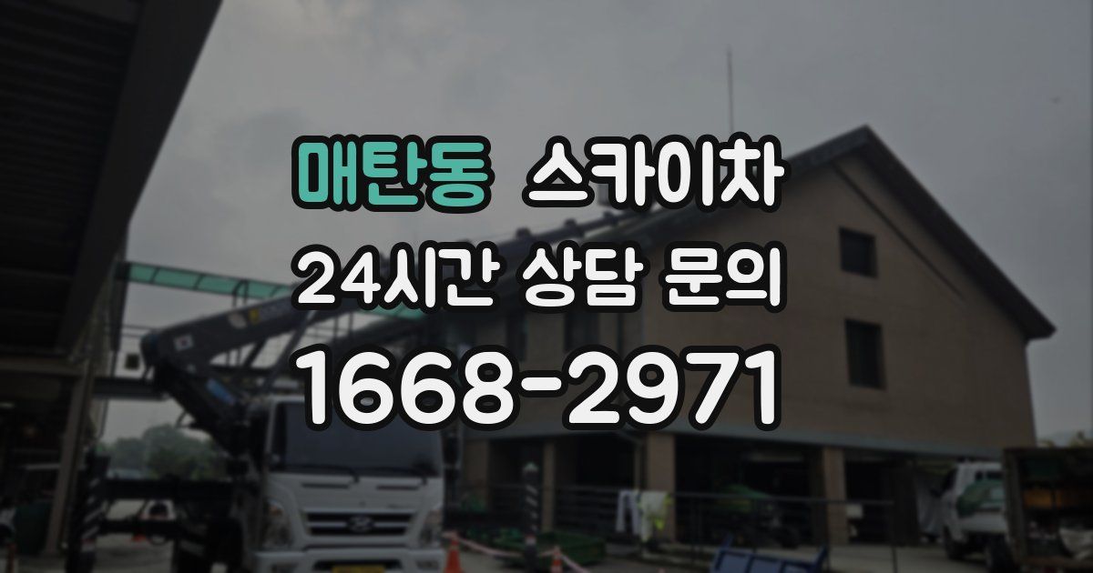 매탄동 스카이차