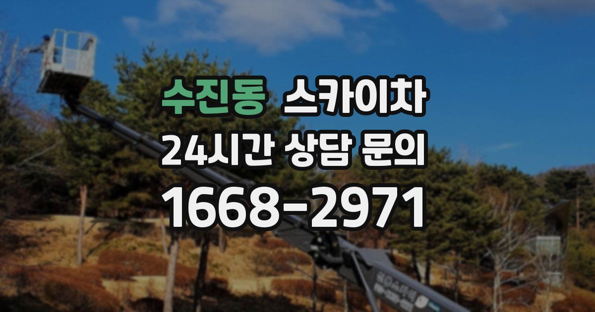 수진동 스카이차