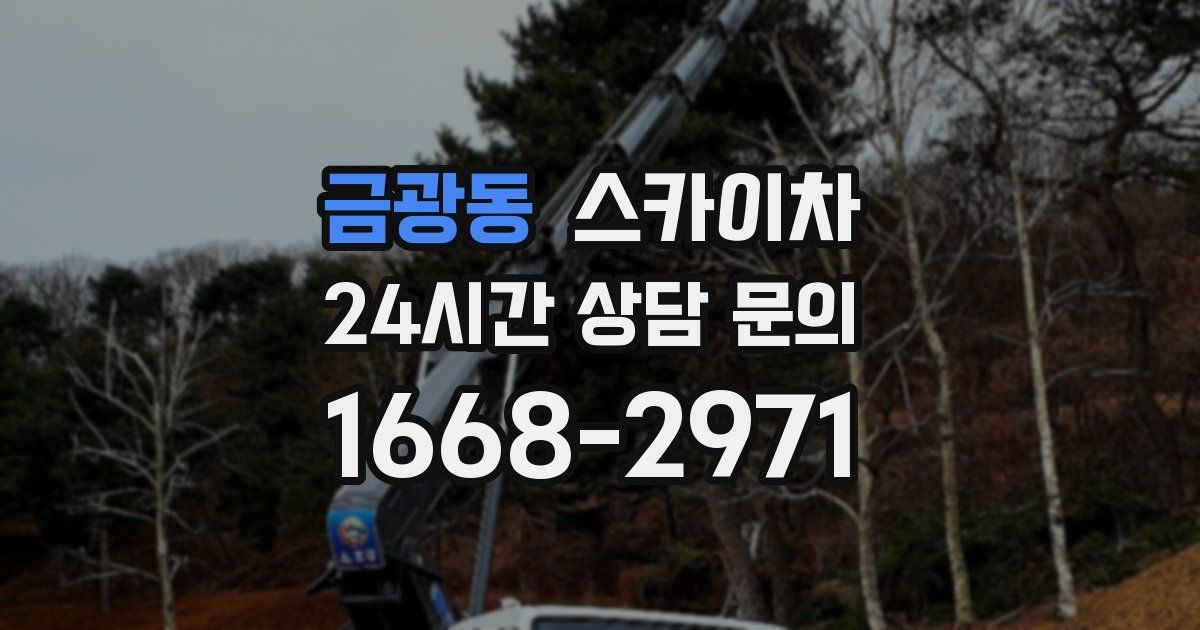 금광동 스카이차