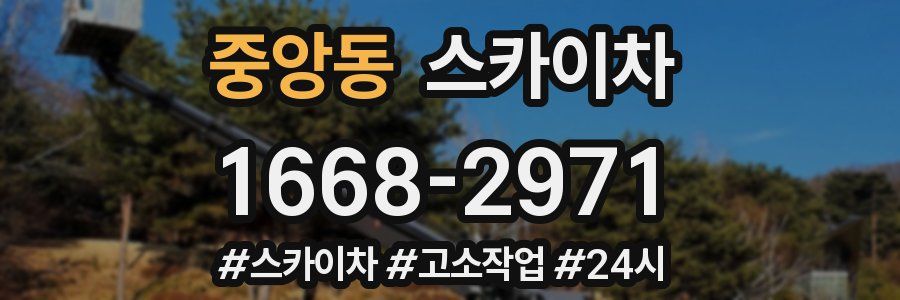 중앙동 스카이차