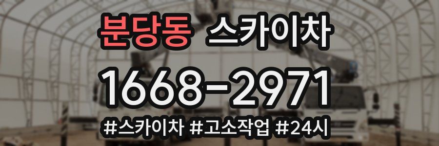 분당동 스카이차