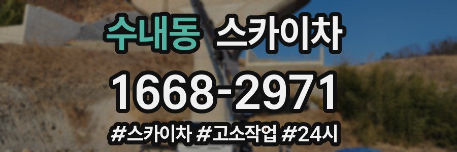 수내동 스카이차
