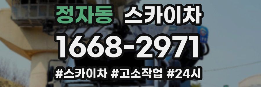 정자동 스카이차