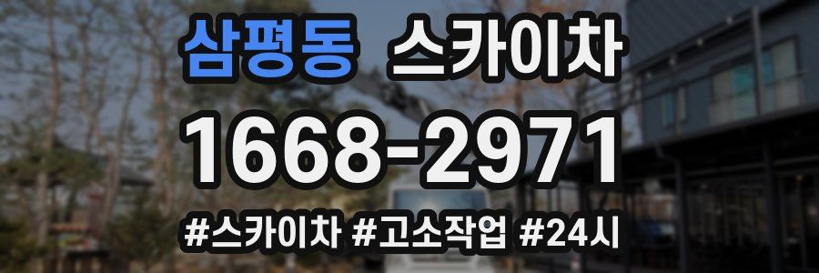 삼평동 스카이차