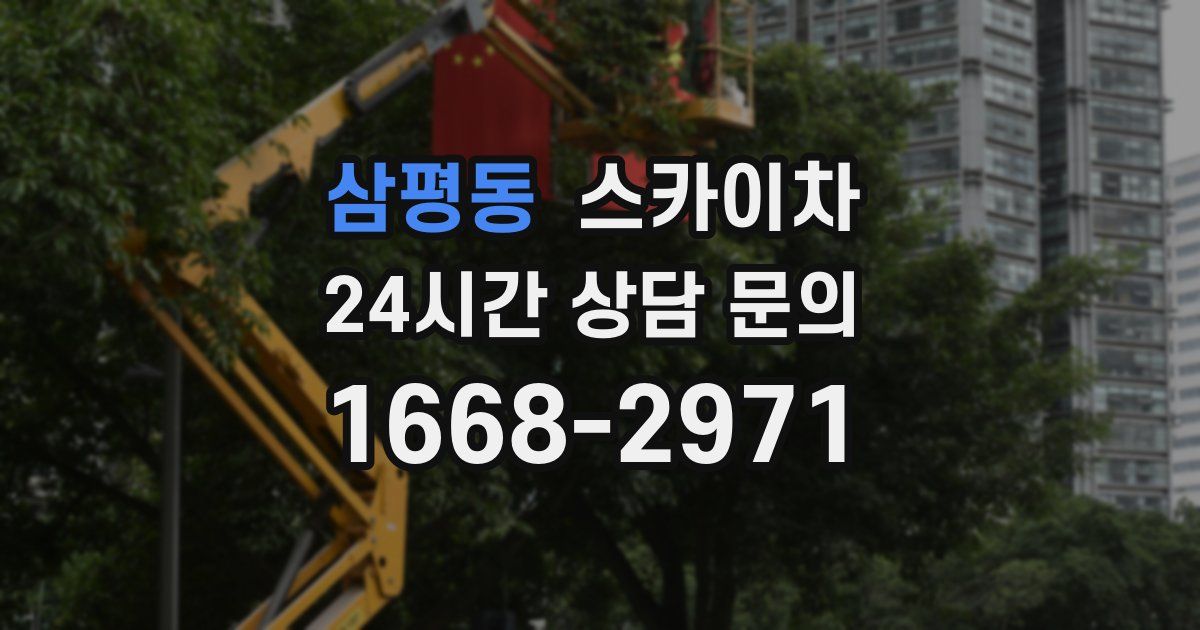 삼평동 스카이차