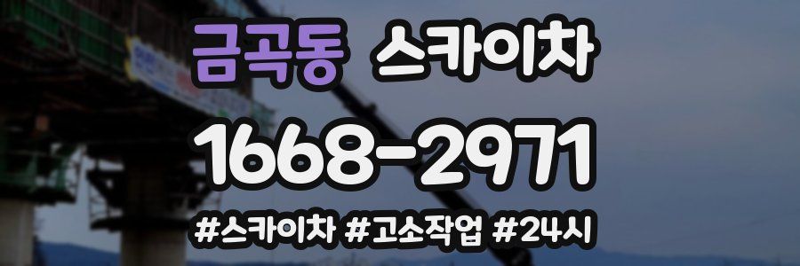금곡동 스카이차