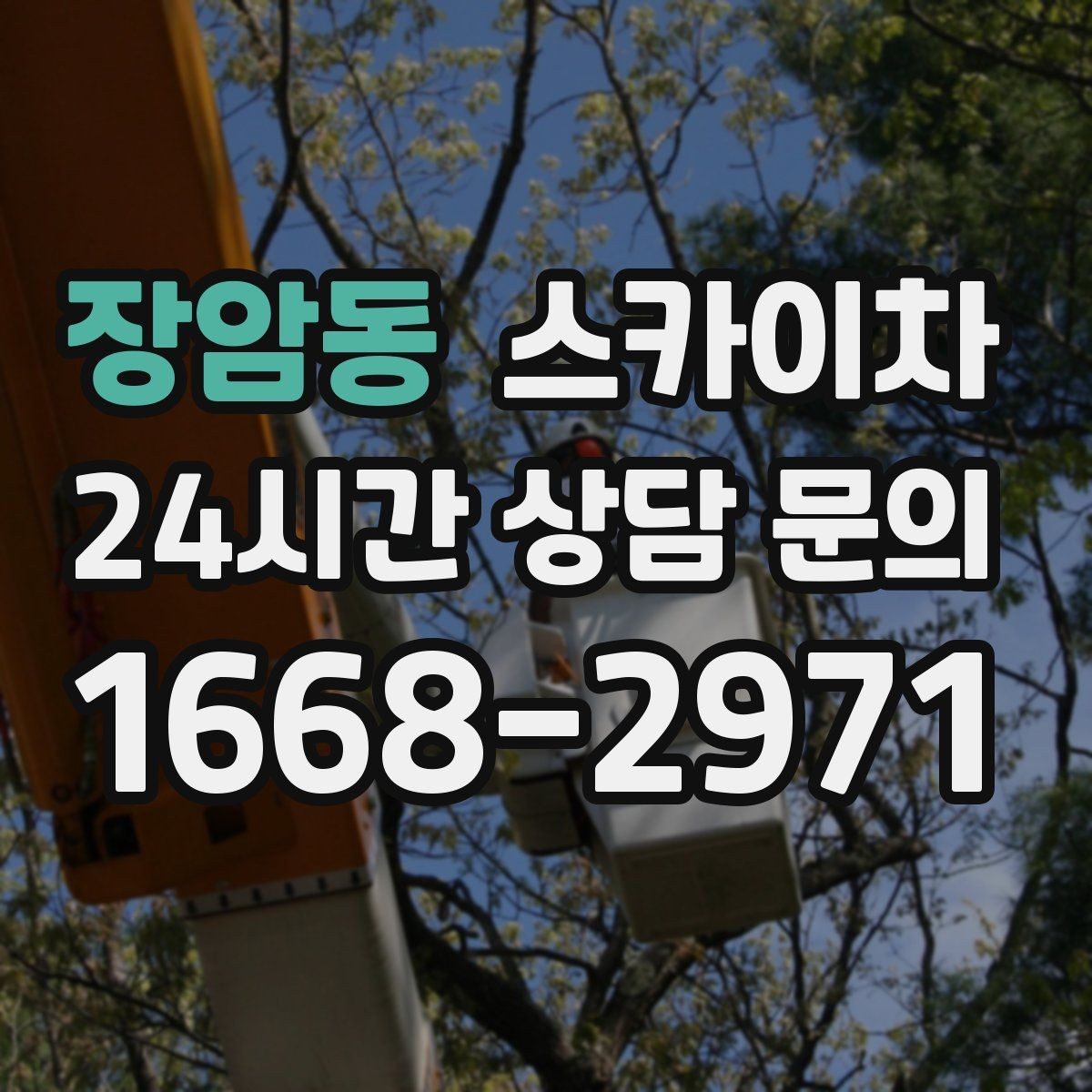 장암동 스카이차 옥상 설비 점검을 위한 안전 접근