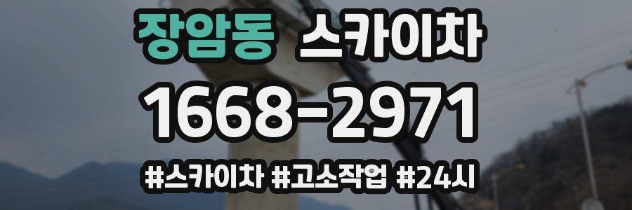 장암동 스카이차