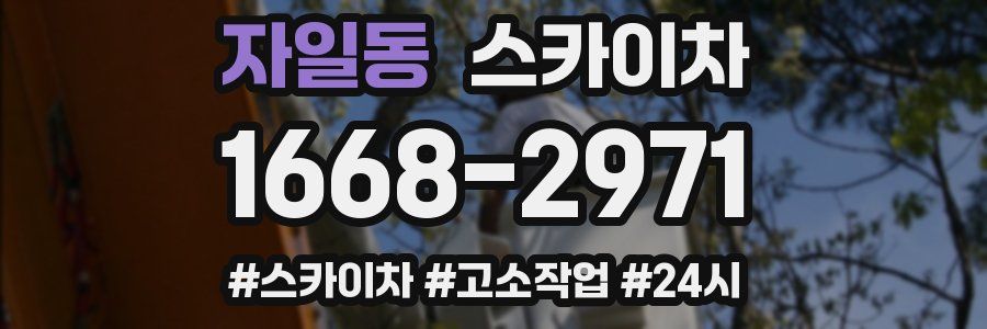 자일동 스카이차