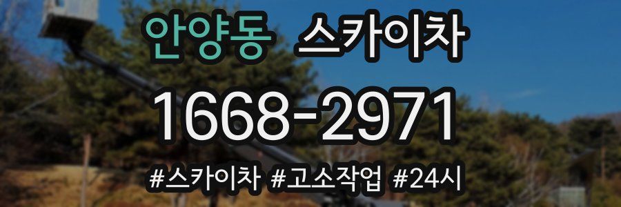 안양동 스카이차
