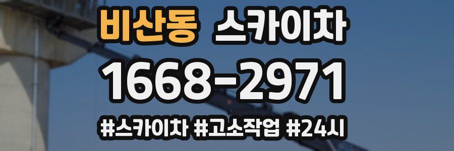 비산동 스카이차