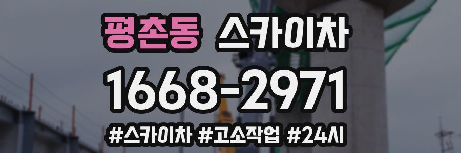 평촌동 스카이차