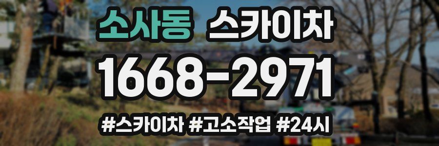 소사동 스카이차