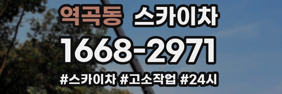 역곡동 스카이차