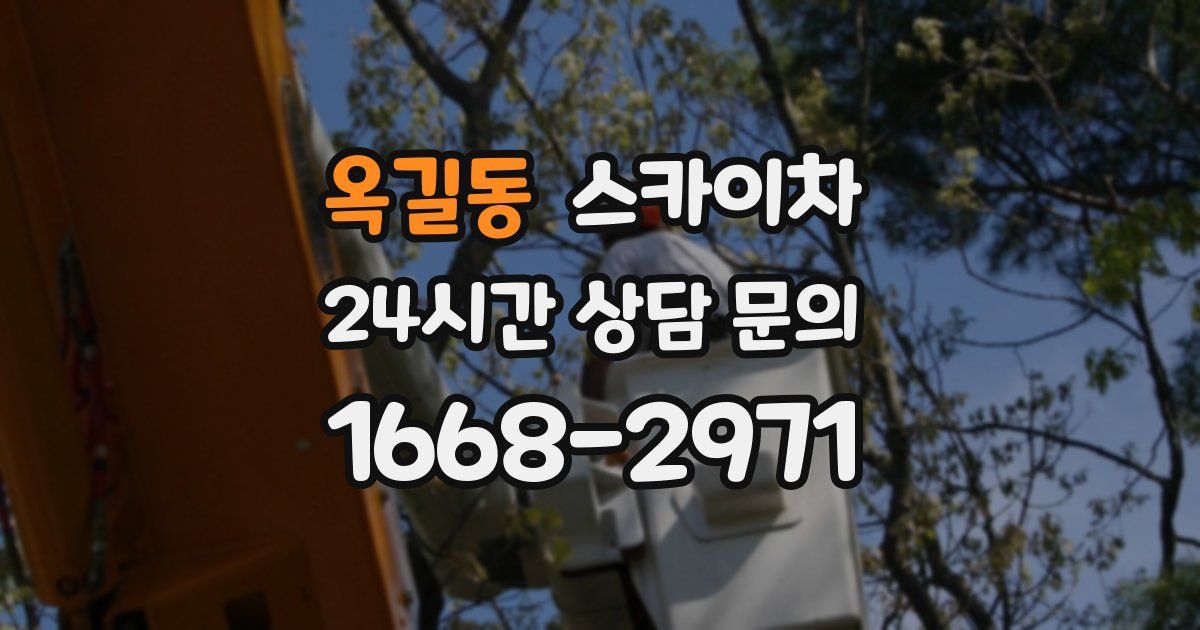 옥길동 스카이차