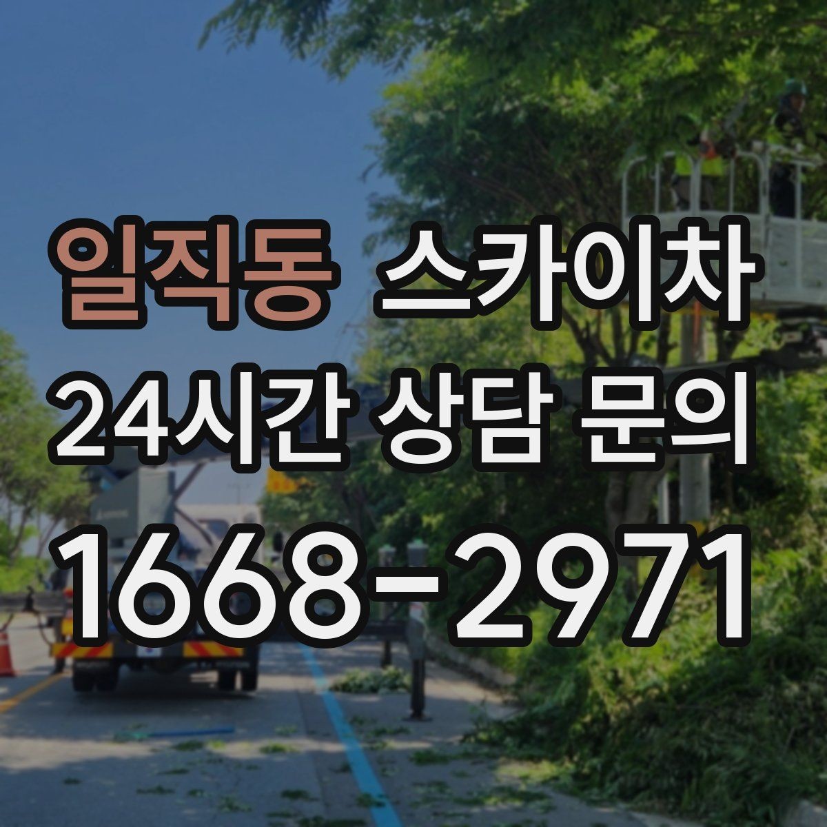 일직동 스카이차 알루미늄 패널 외벽 점검과 보수