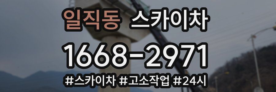 일직동 스카이차