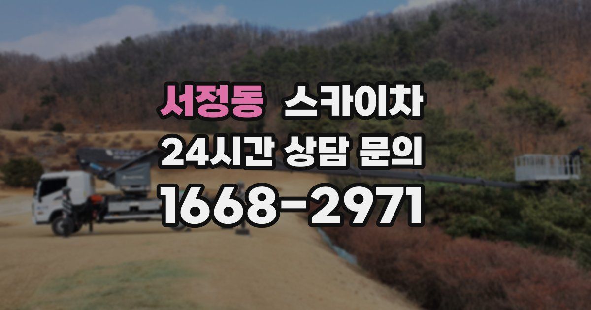 서정동 스카이차