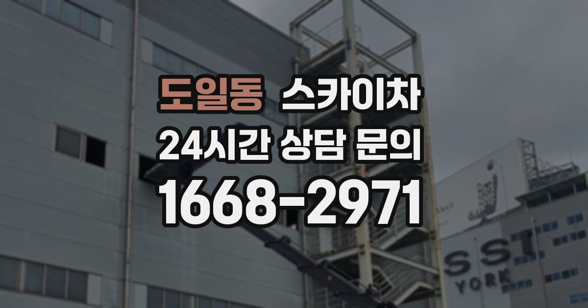 도일동 스카이차