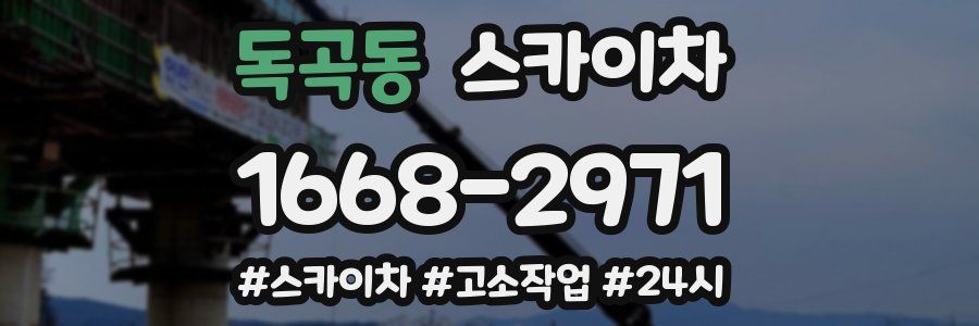 독곡동 스카이차