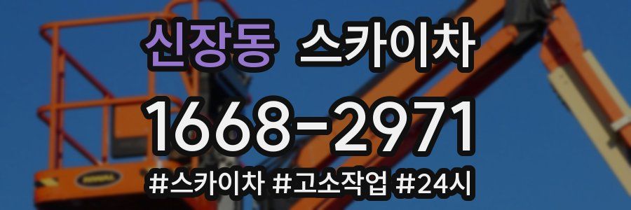 신장동 스카이차