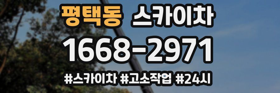 평택동 스카이차