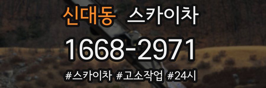 신대동 스카이차