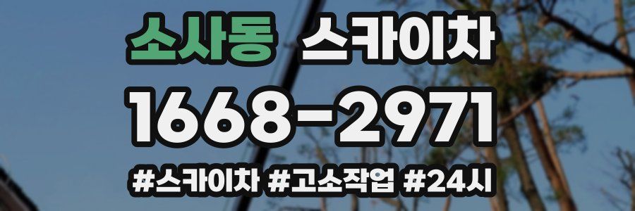 소사동 스카이차
