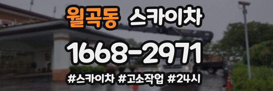 월곡동 스카이차