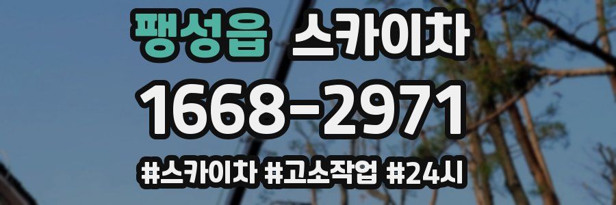 팽성읍 스카이차