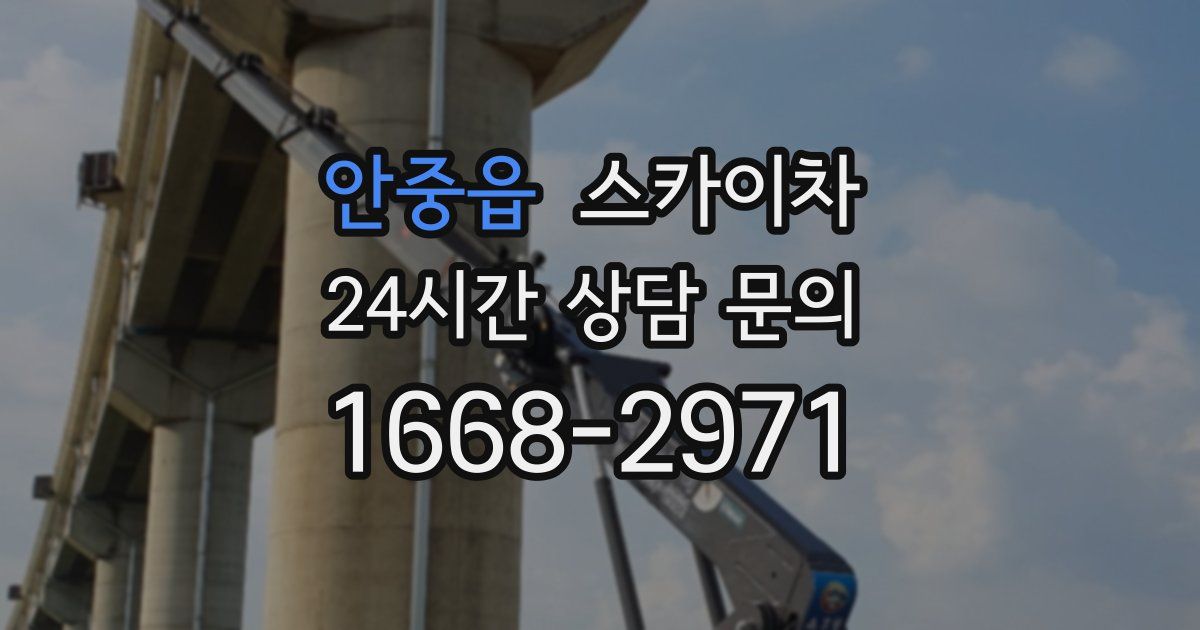 안중읍 스카이차