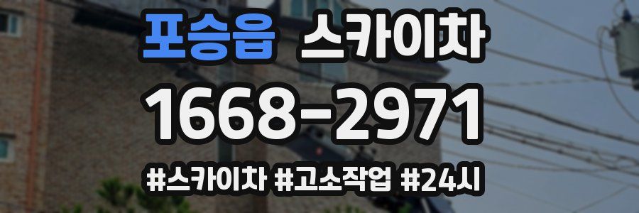 포승읍 스카이차